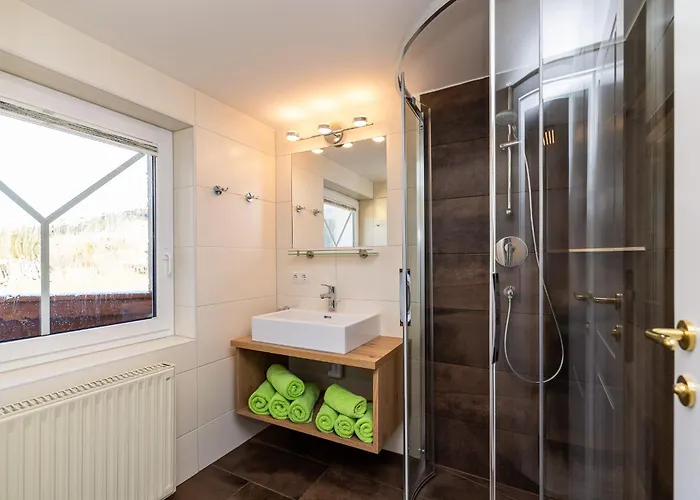 Haus Meneweger Apartment